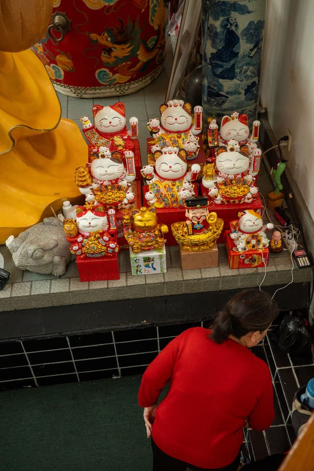 A collection of Maneki-neko (beckoning cat) figurines displayed on a shelf, with a person in a red shirt standing nearby