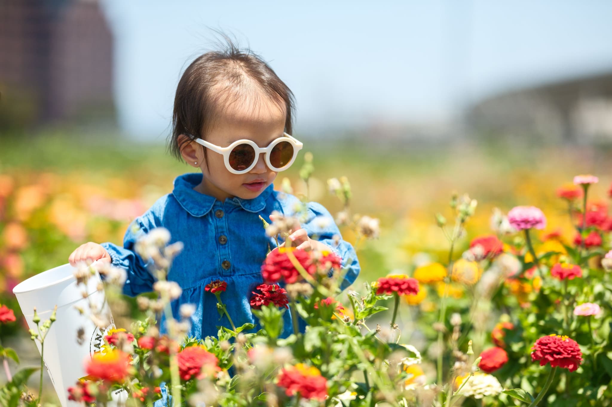 A young child wearing sunglasses and a blue shirt stands in a colorful flower field, holding a white bucket